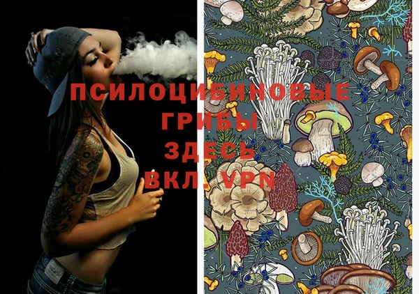 ECSTASY Михайловск