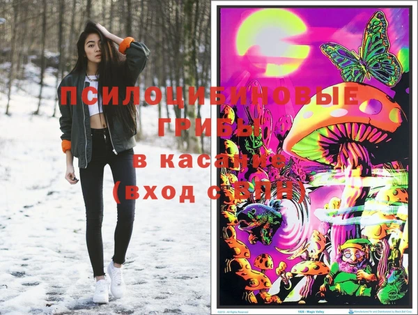 ECSTASY Михайловск