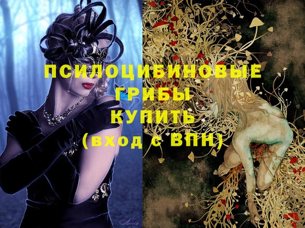 а пвп мука Михайлов