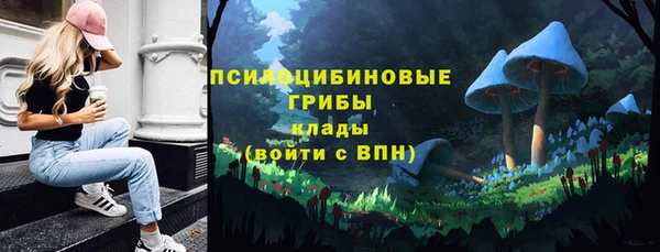 ECSTASY Михайловск
