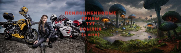 а пвп мука Надым